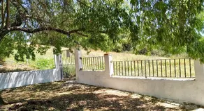 Finca La Palmera Constantina - Image 4