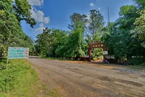 Kanha Meadows Resort - Image 2