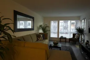 Oasis - Image 5