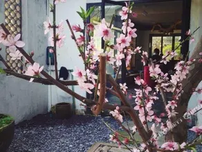 Ketangjian Hotel (Lingfeng) - Image 4