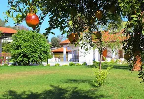 Iztuzu Villa Heaven - Image 3