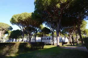 Piverd del Golf - Image 3
