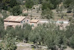 Coll den Pastor - Image 2