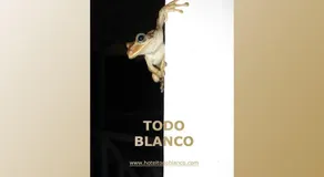 Hotel Todo Blanco - Image 2