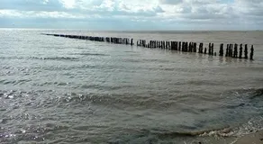 The Manors - Image 2
