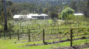 Eureka Farm - Image 3