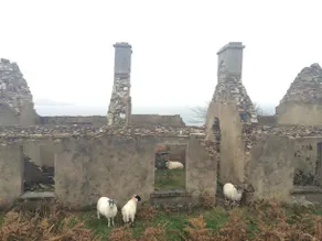 Ardcrone House - Image 5