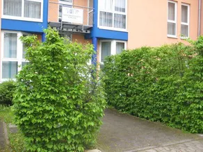 Apartmentcenter Koblenz - Image 4