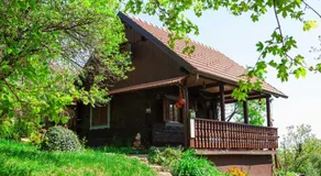 Na Okić - a private forest oasis - Image 3