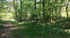 Camping Du Canal - Image 3