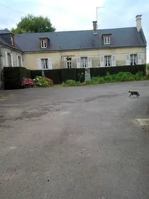 Le Moulin - Image 5