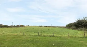 Findale - Image 2