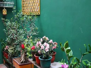 Xiamen Moutain and Sea View Homestay(Huandao Road Zengcuo'an Branch)) - Image 3