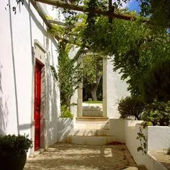 Quinta Mimosa - Image 2