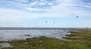 Nordsee-Nest - Image 2