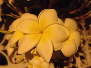 Bed and Breakfast At Home in Malaga - Image 2