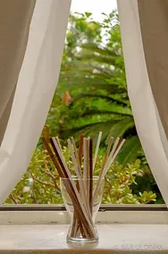 Le Dimax - Image 3