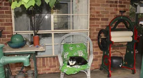 Blue Gum Cottage on Bay - Image 5
