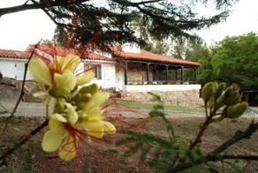 Hipocampus Resort & Spa - Image 4