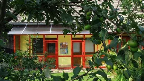 Privat AVE - Image 2