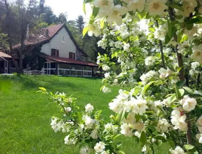 Le Radici B&B - Image 5