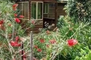 Quince Cottage - Image 4