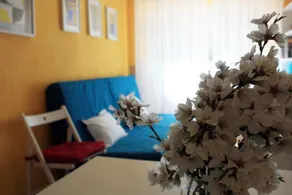 La Casita de la Abuela Paula - Image 4