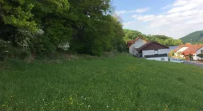 Ferienhaus Moscheltal - Image 5