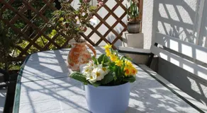 Ferienwohnung Hilgenfeld - Image 5
