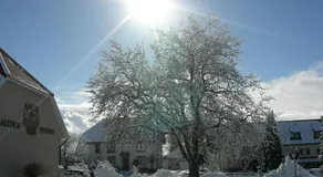 Pension Adler - Image 5