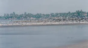 Sahil Inn - Image 3