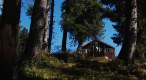 Number Eleven - Image 5