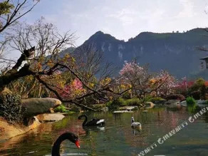 Fanjing Cloud Villa Hotel - Image 2
