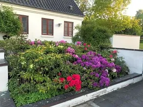DreamCenter Ballerup Boulevard - Image 5
