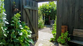 Emily´s Traum - Image 3