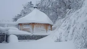 Tourist Farm Lojtrnik - Image 2