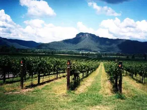 Rothvale Winery & Vineyard Cottages - Image 5