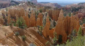 The Evergreen - Bryce Canyon National Park - Image 2