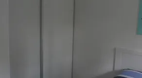 Dolfijn - Image 3