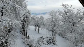 La Gravinette - Image 3