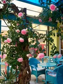 Hotel Da Giovanna - Image 4