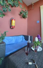 Fridas Garden - Image 3