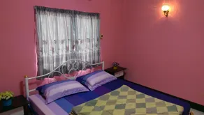 The Colorful House - Image 3