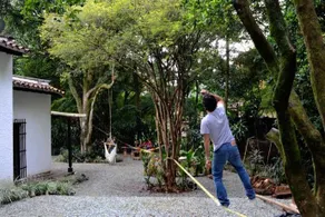 Bambu Glamping Medellin - Image 2