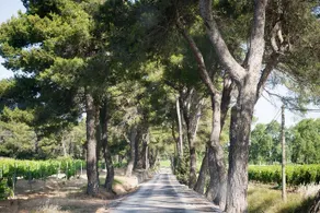 Château Canet - Image 5