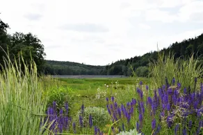 Pension BB Eisenach - Image 1