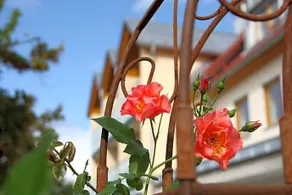 Grüner Baum Landhotel - Image 3