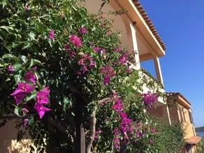 Costa Smeralda Exclusive - Image 2