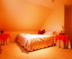 Elm Wood Classic B&B - Image 2