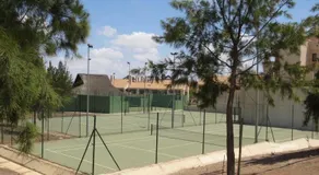 The Oasis - Image 3